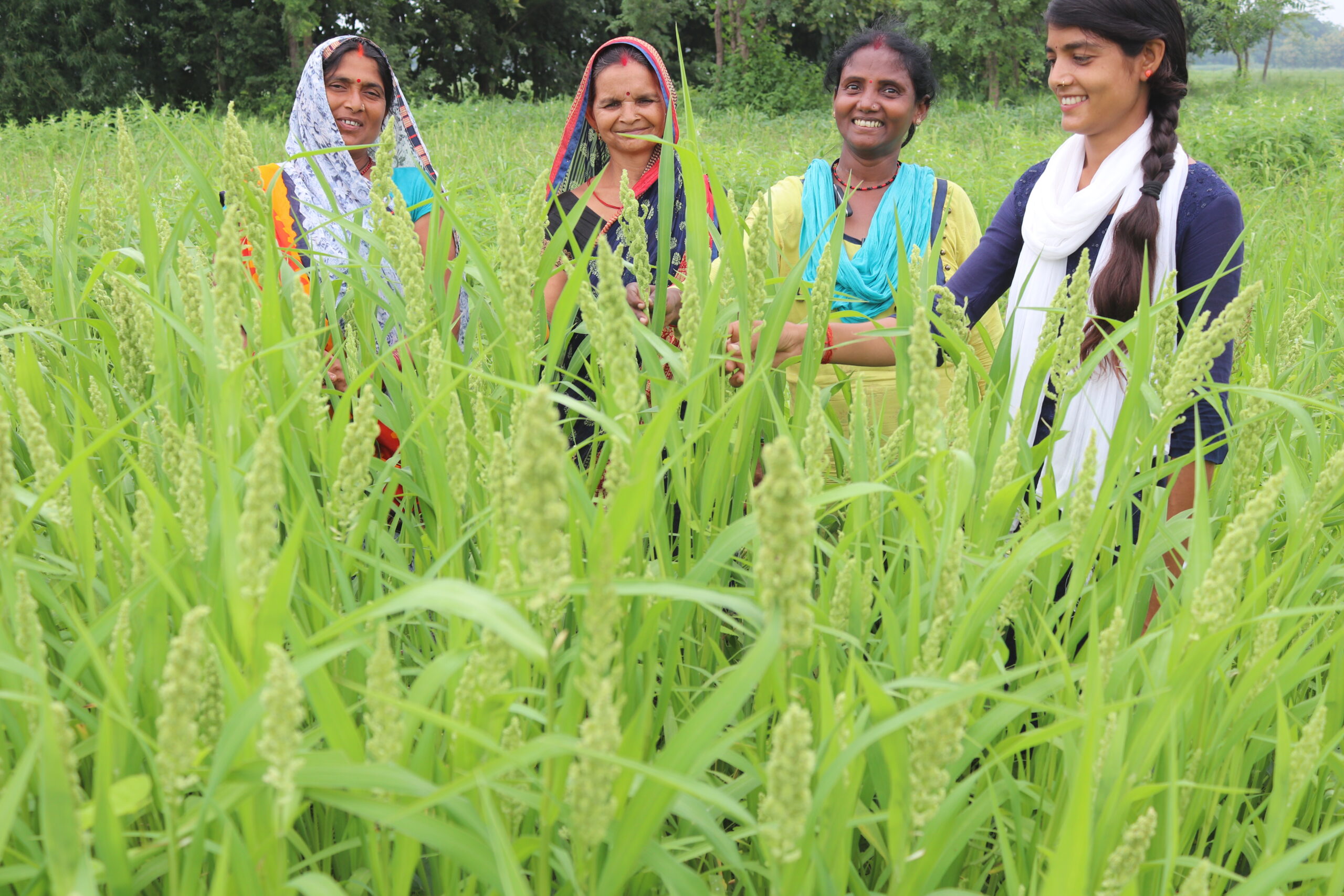 Agriculture and Livelihoods